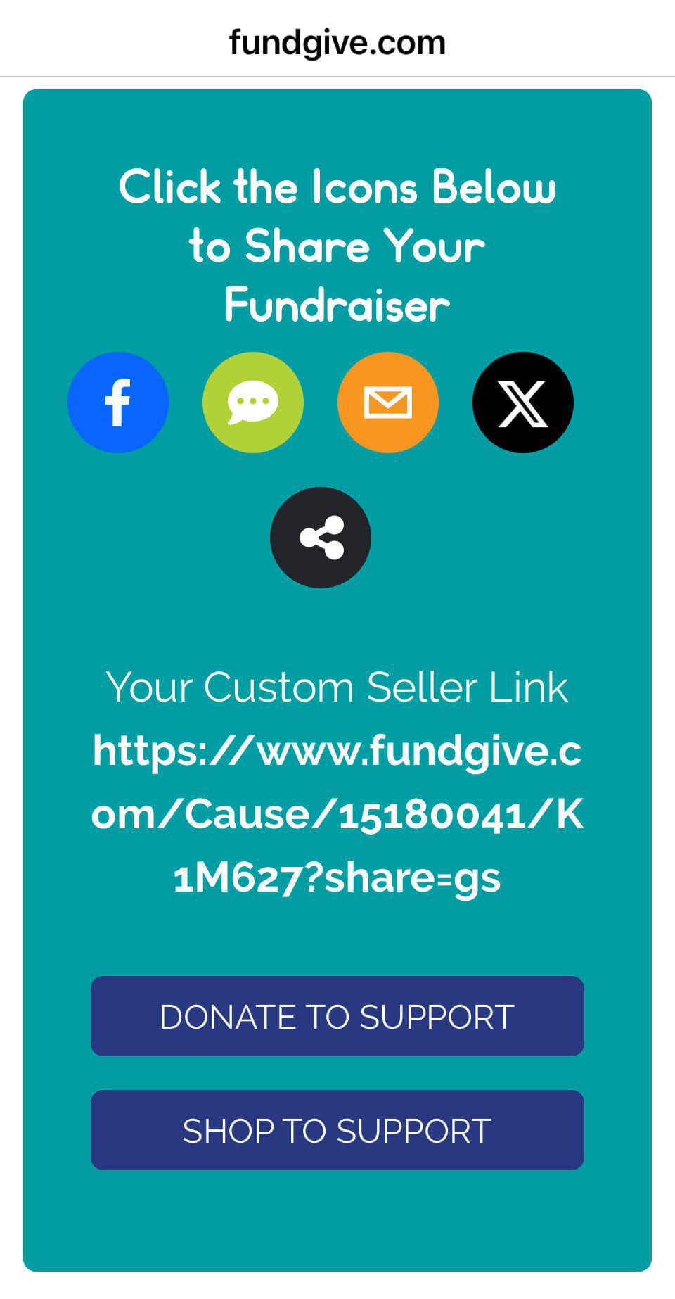 Alina Fundraising (FundGive Demo)
