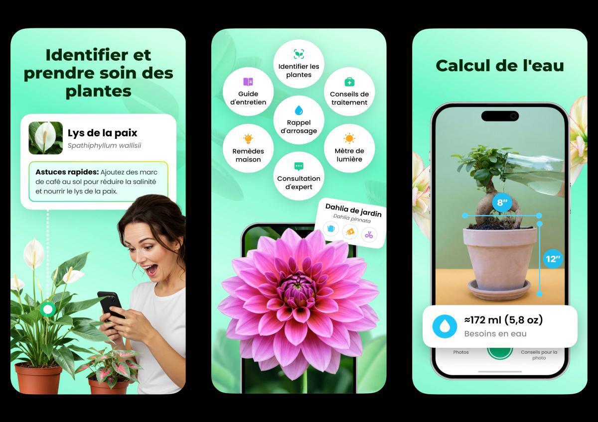 App. Plant Parent : Se reconnecter App. Plant Parent : Se reconnecter