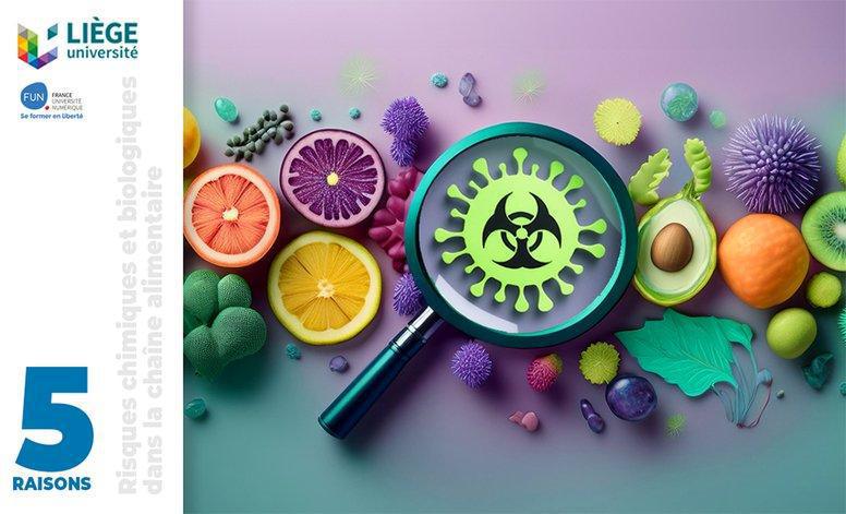 Mooc. Risques chimiques dans la chaîne alimentaire Mooc. Risques chimiques dans la chaîne alimentaire