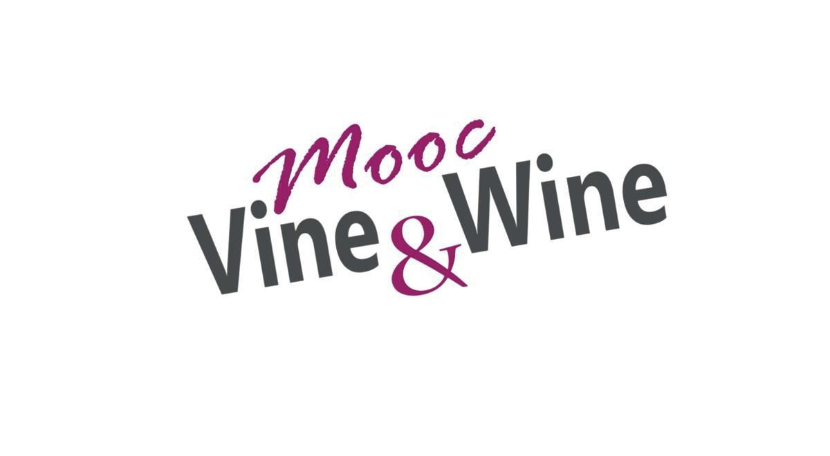 Mooc. Initiation aux sciences de la vigne et du vin