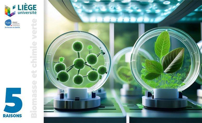 Mooc. Biomasse et Chimie Verte