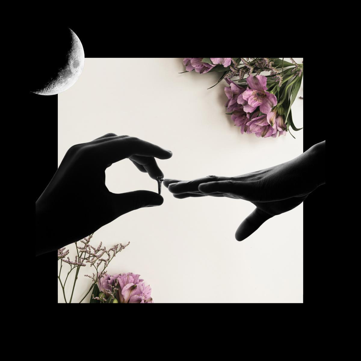 Le devoir conjugal : L’histoire d’un droit en voie d’extinction 