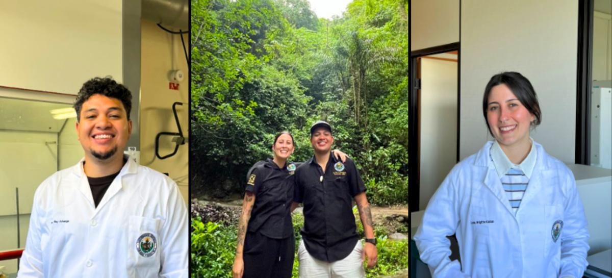 Le cacao criollo vénézuélien : Une histoire de fin arôme Le cacao criollo vénézuélien : Une histoire de fin arôme