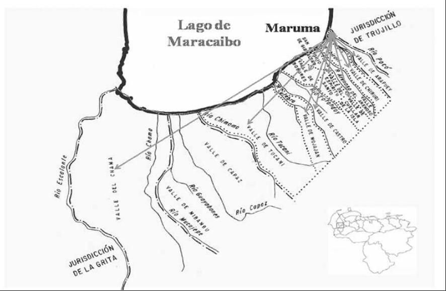 Le cacao criollo vénézuélien : Une histoire de fin arôme Le cacao criollo vénézuélien : Une histoire de fin arôme