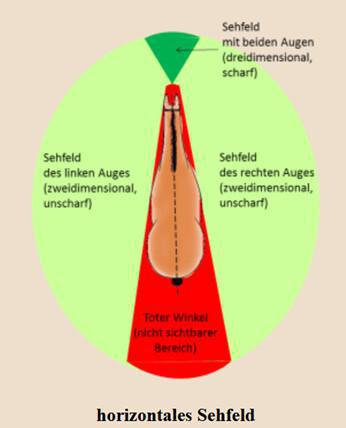 Reiten für alle Kinder