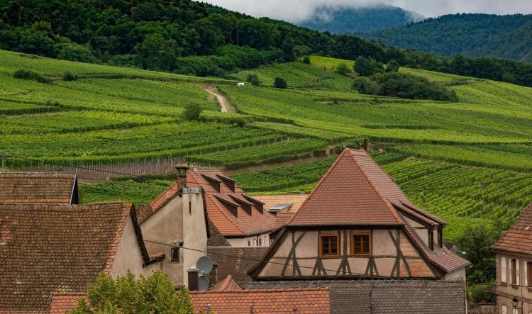 La Journée du Cœur sera à Colmar le 17 octobre 2025 !