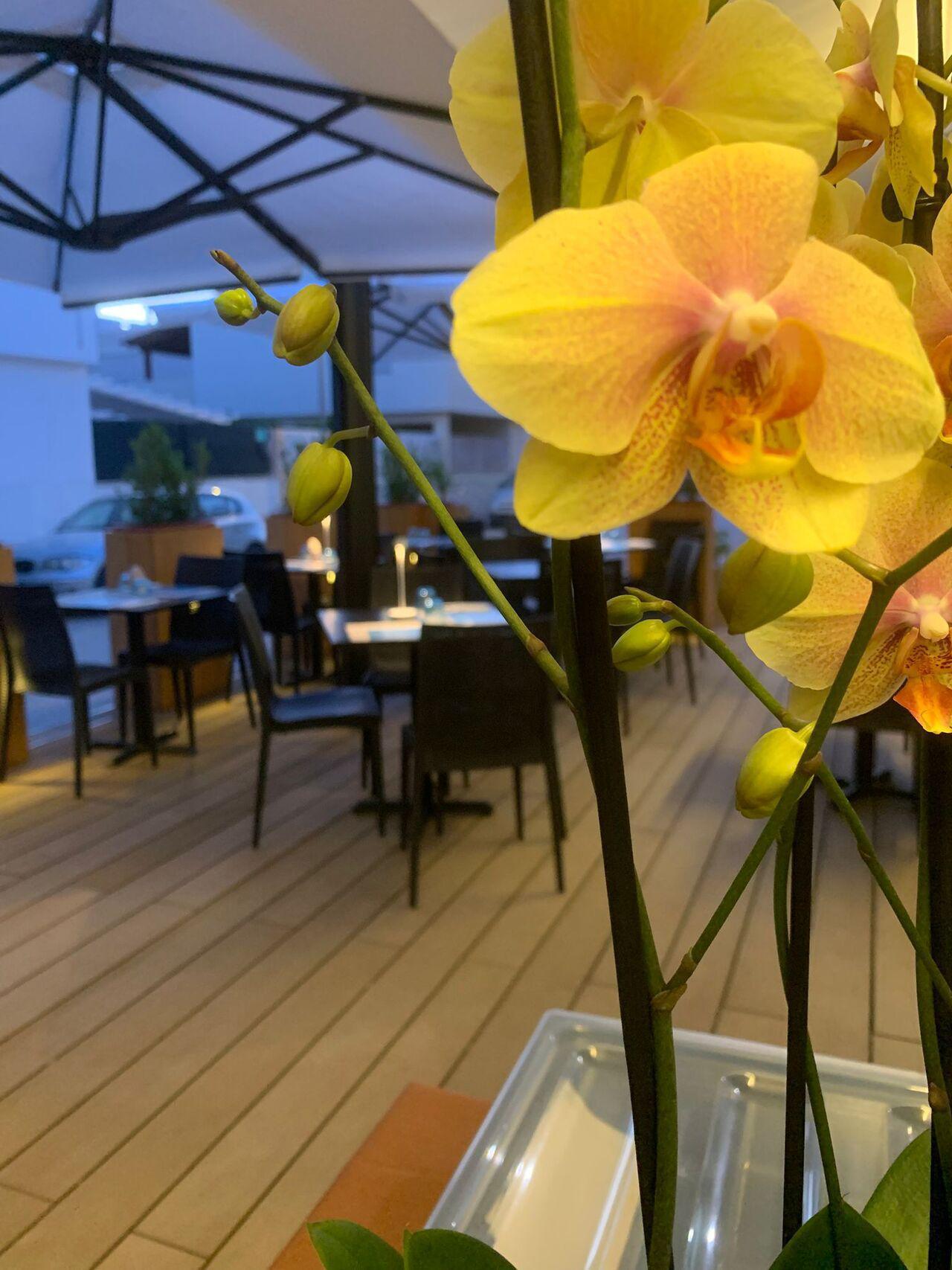 SanVito Ristorante