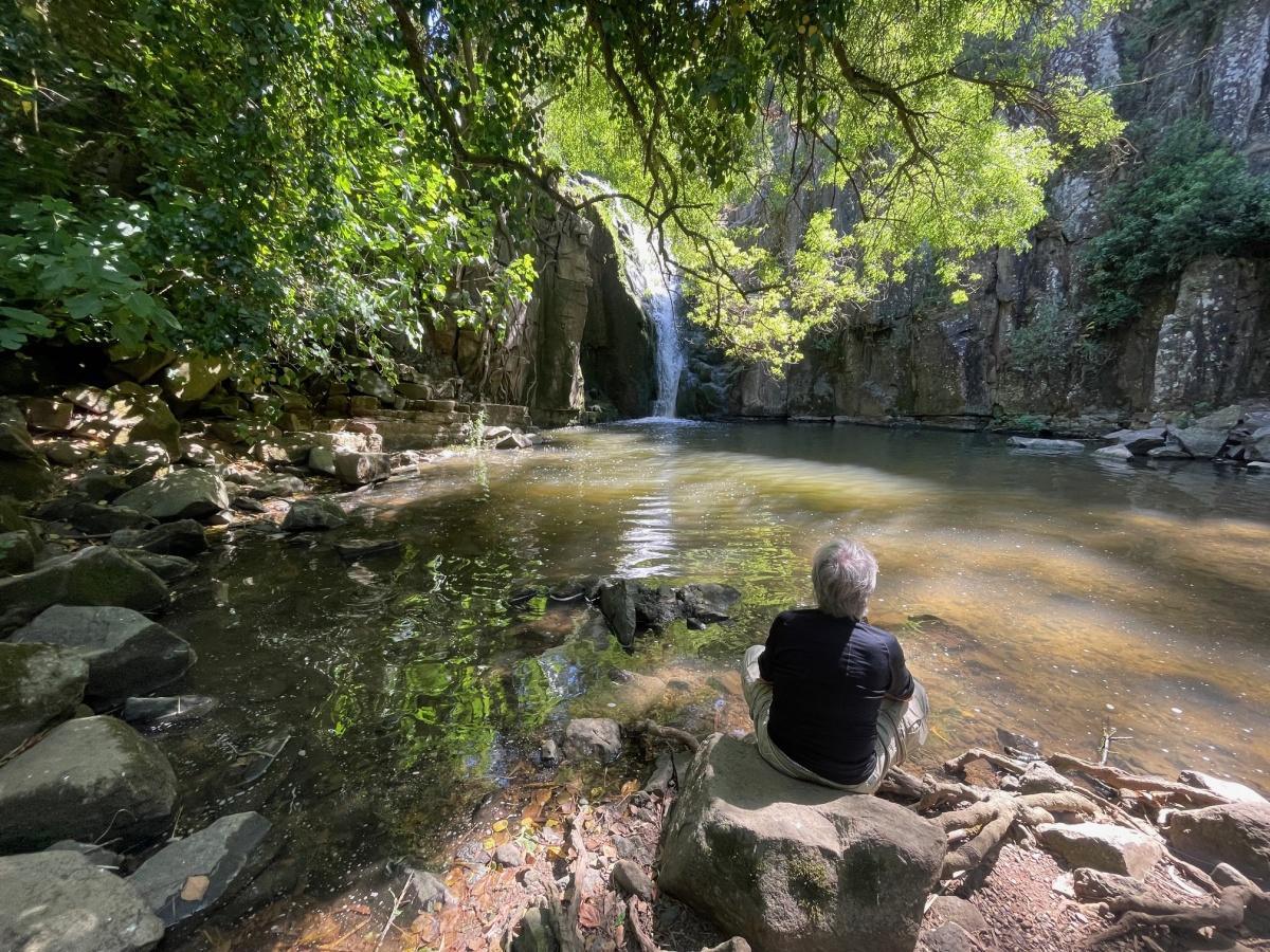 Meet the top 10 local attractions in Ericeira that you will never forget! Meet the top 10 local attractions in Ericeira that you will never forget!