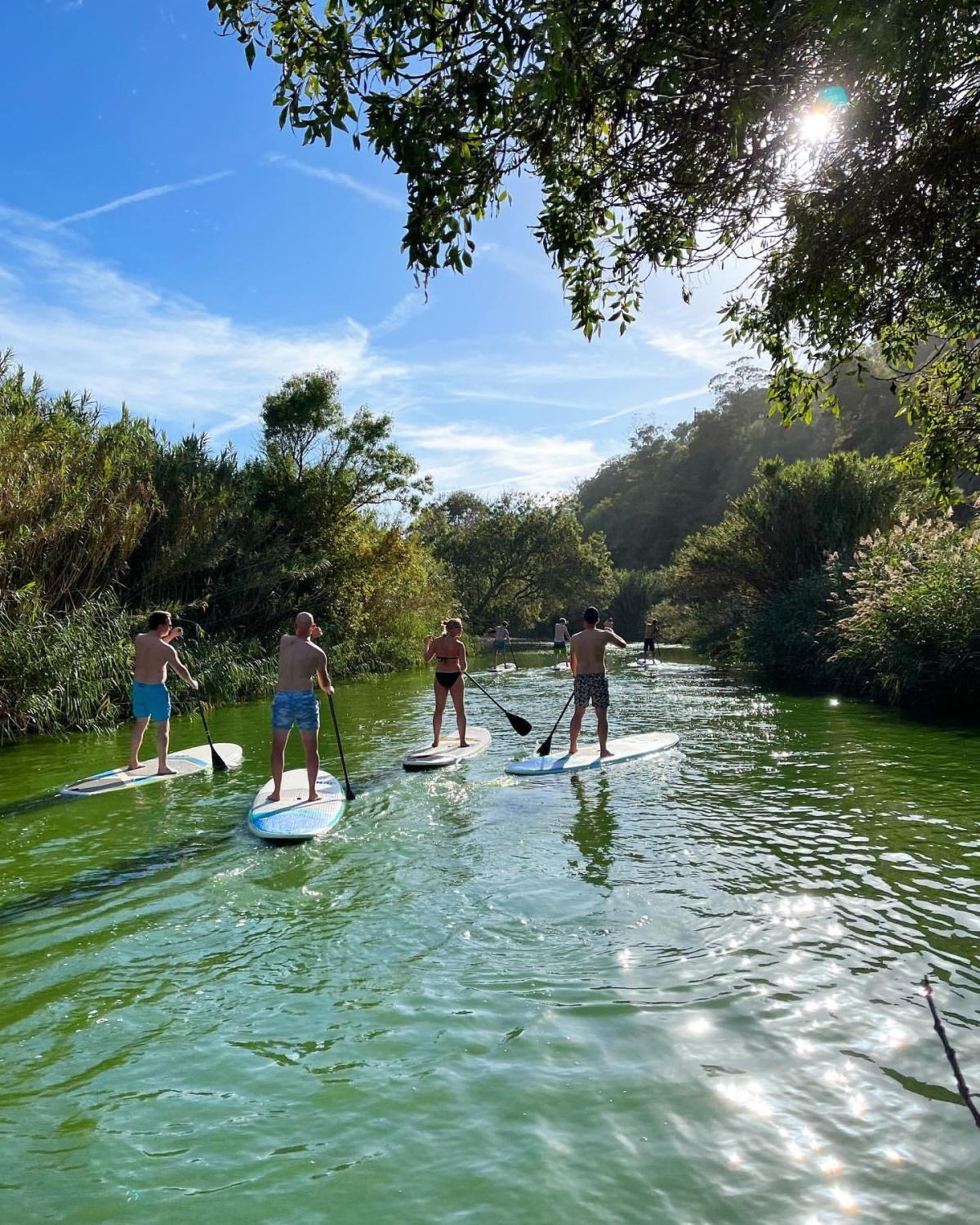 Meet the top 10 local attractions in Ericeira that you will never forget! 