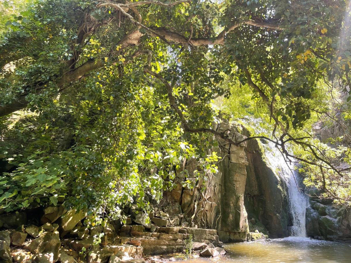 Meet the top 10 local attractions in Ericeira that you will never forget! Meet the top 10 local attractions in Ericeira that you will never forget!