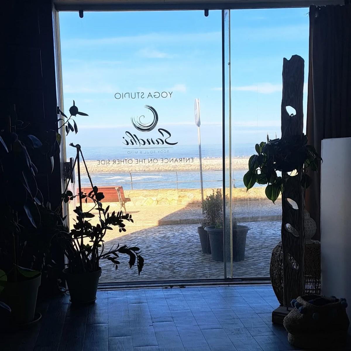 Meet the top 10 local attractions in Ericeira that you will never forget! Meet the top 10 local attractions in Ericeira that you will never forget!