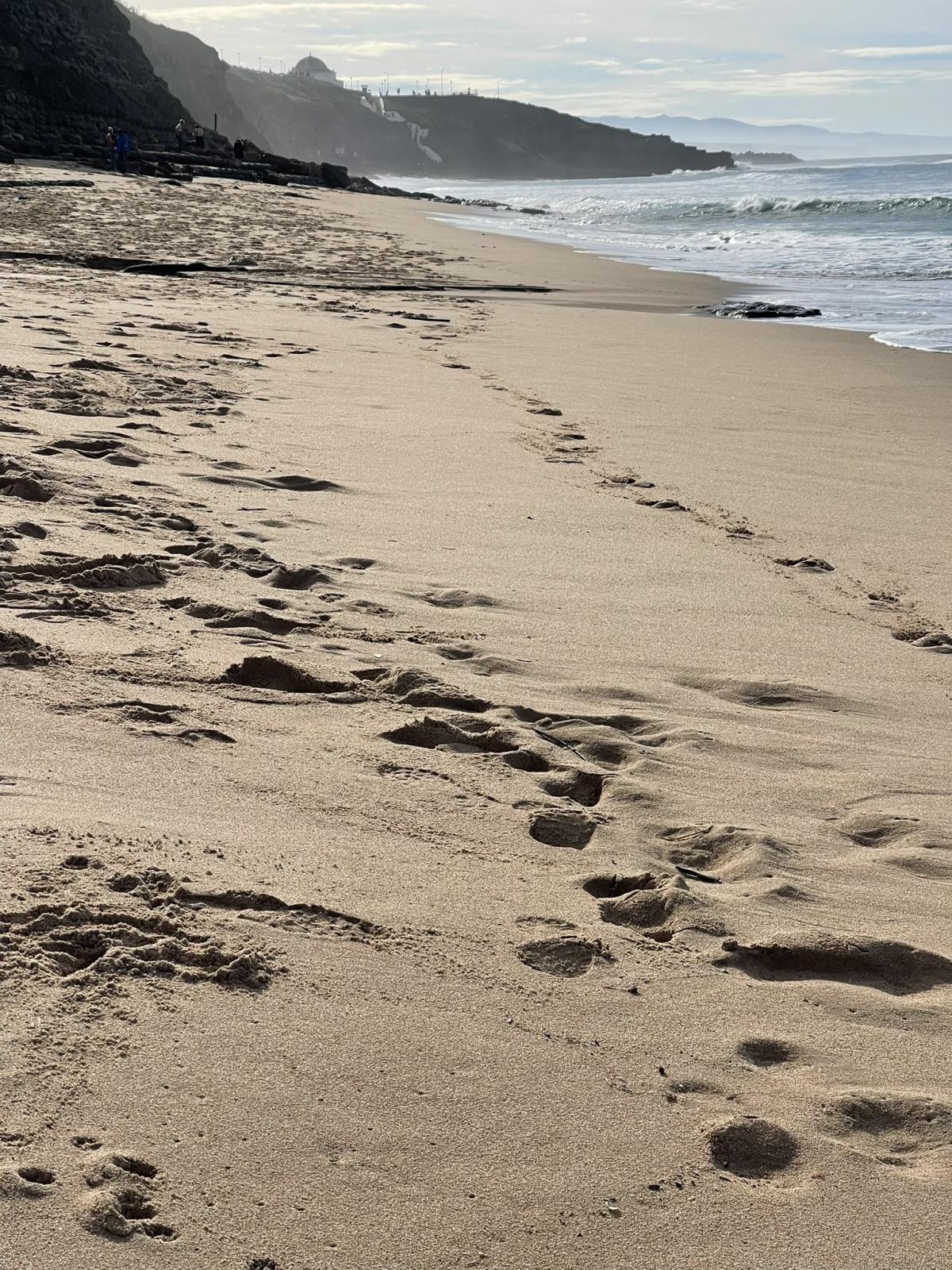The TOP Beaches in Ericeira for relaxing - Subjective Ranking from Skubday Guide Portugal