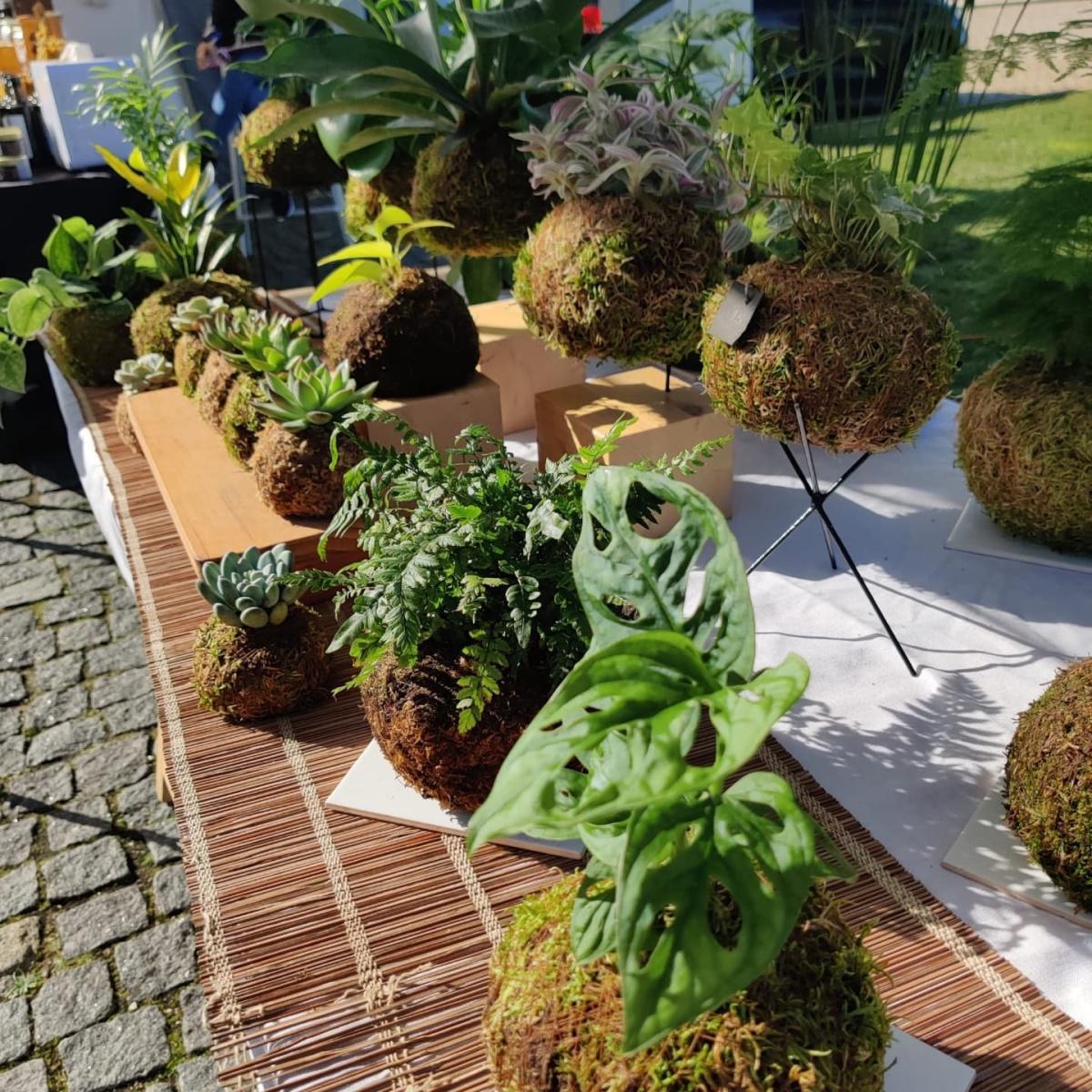 Mercado Atitudo Local Market Ericeira Mercado Atitudo Local Market Ericeira