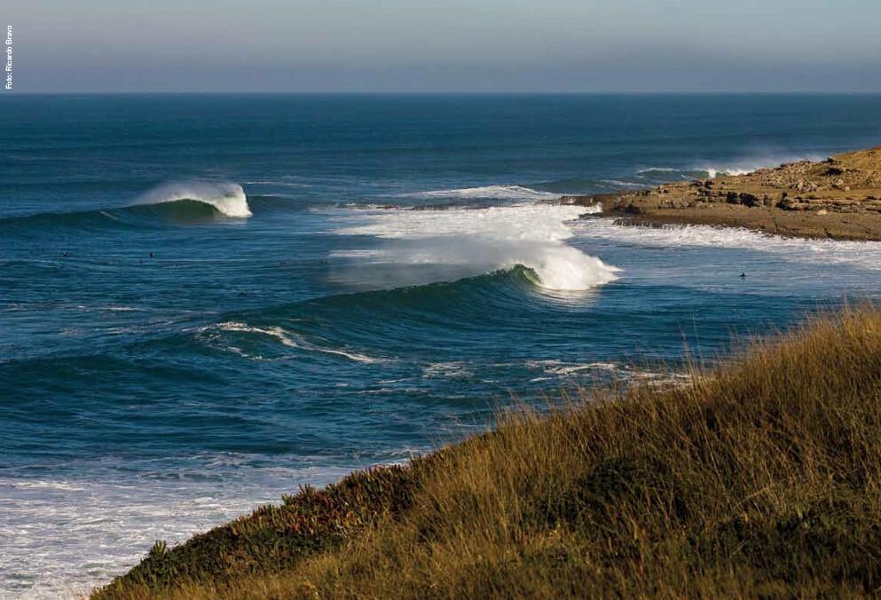 Save The Waves Coalition Save The Waves Coalition