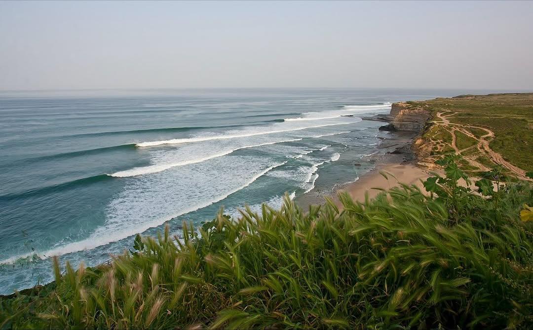 Save the waves Film Festival