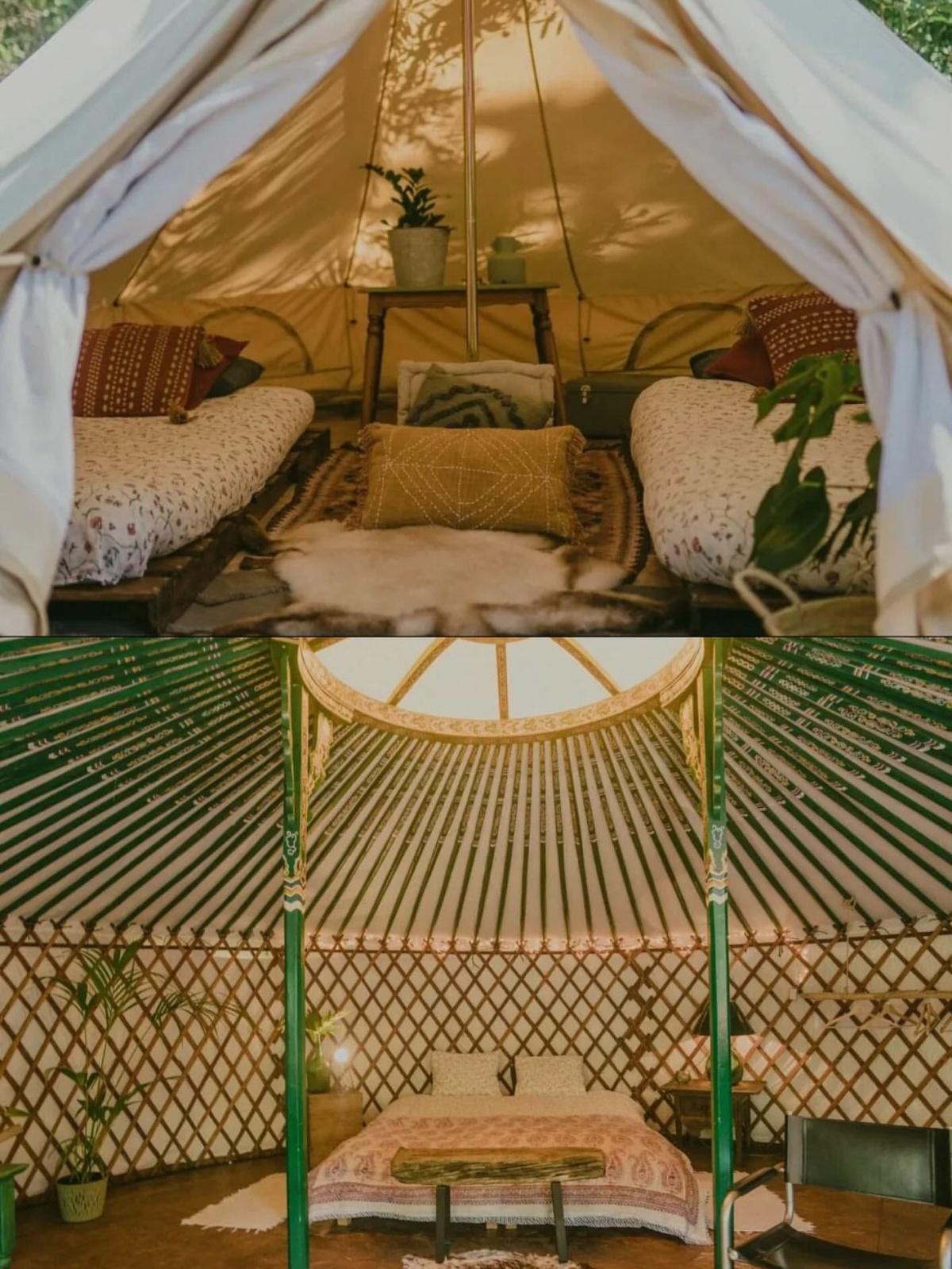 Medicine woman retreat 