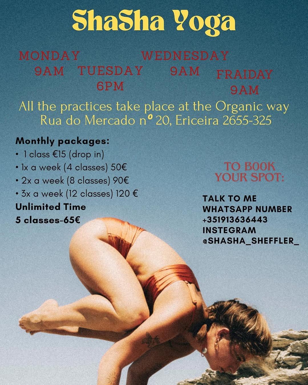 Power Vinyasa Yoga with Shasha Yoga Power Vinyasa Yoga with Shasha Yoga