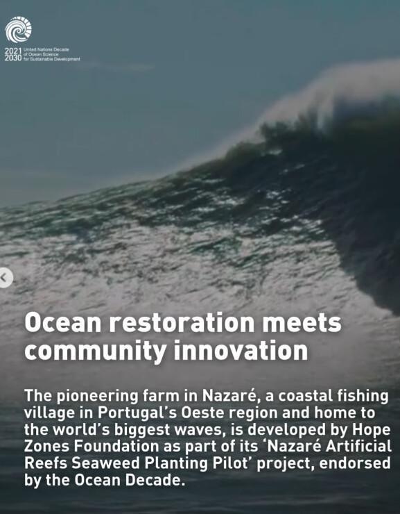 Portugal’s first regenerative seaweed farm in Nazaré Portugal’s first regenerative seaweed farm in Nazaré