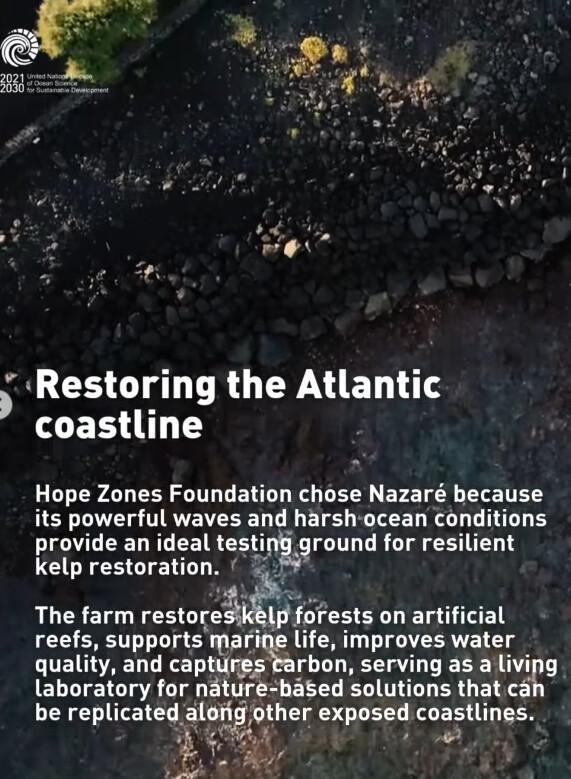 Portugal’s first regenerative seaweed farm in Nazaré Portugal’s first regenerative seaweed farm in Nazaré