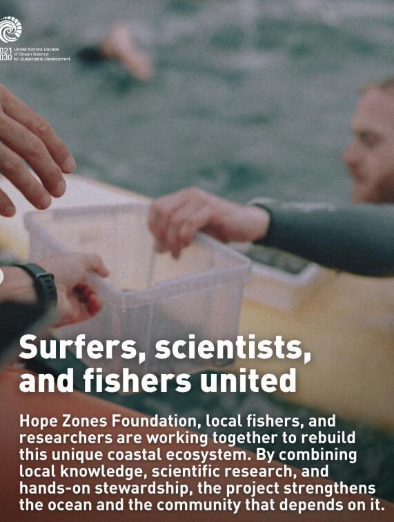 Portugal’s first regenerative seaweed farm in Nazaré Portugal’s first regenerative seaweed farm in Nazaré