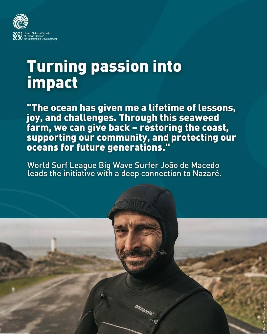 Portugal’s first regenerative seaweed farm in Nazaré Portugal’s first regenerative seaweed farm in Nazaré