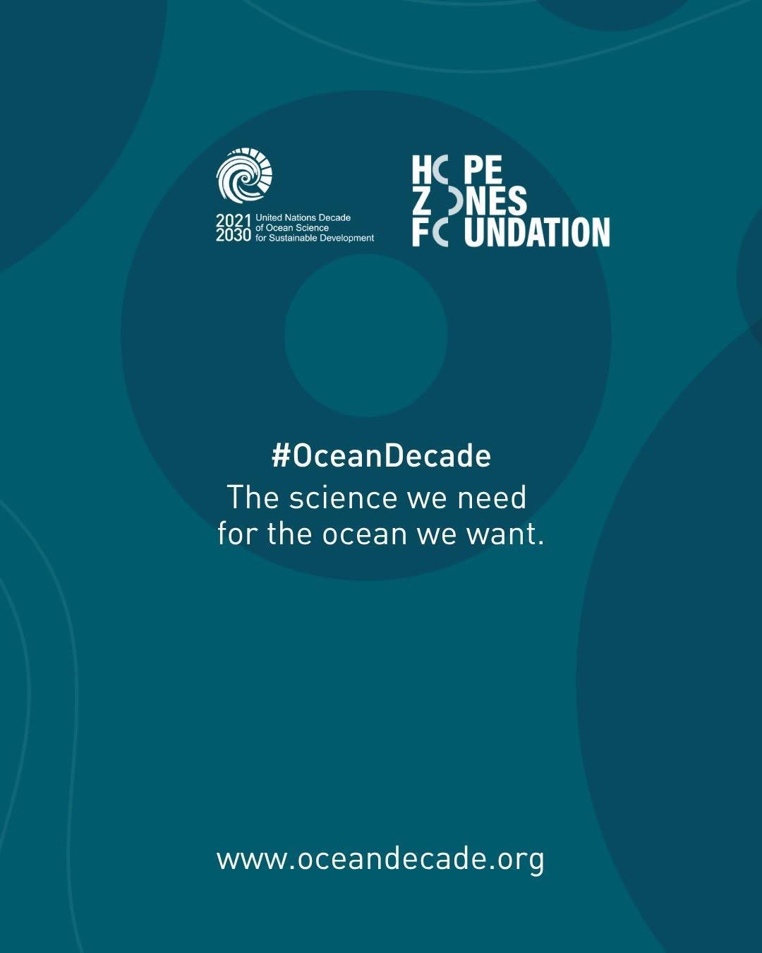 Portugal’s first regenerative seaweed farm in Nazaré Portugal’s first regenerative seaweed farm in Nazaré