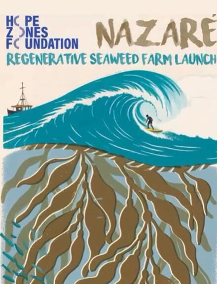 Portugal’s first regenerative seaweed farm in Nazaré Portugal’s first regenerative seaweed farm in Nazaré