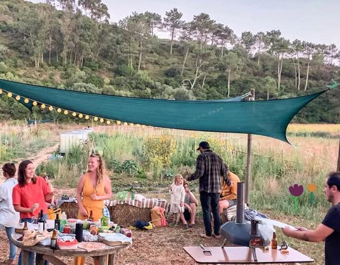 The Garden Lab - Grow Your Own Food The Garden Lab - Grow Your Own Food