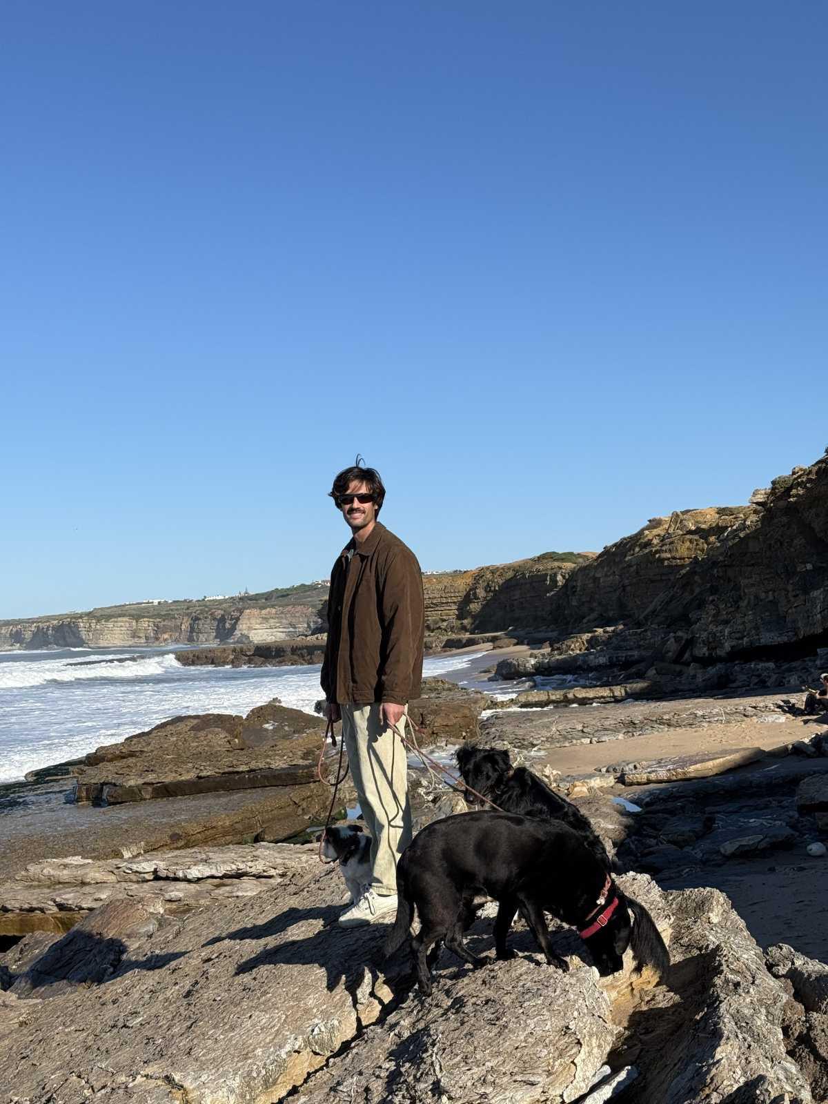 My Dog Academy My Dog Academy