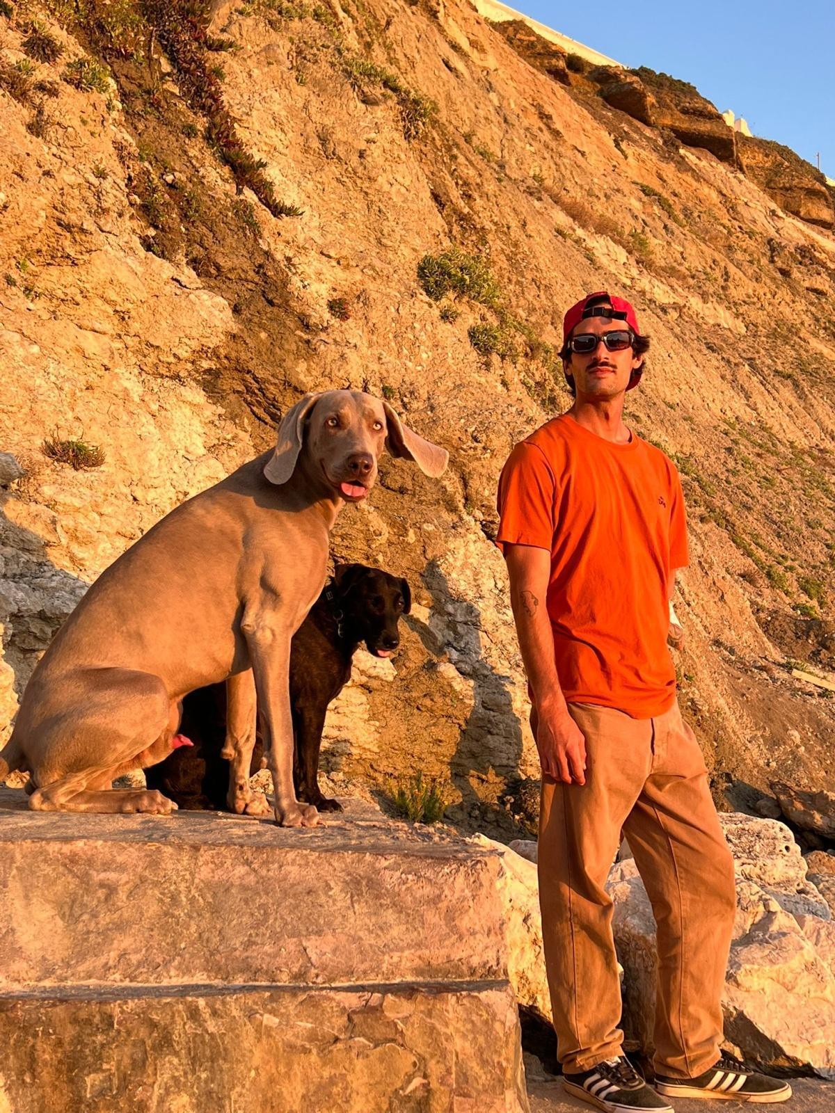 My Dog Academy My Dog Academy