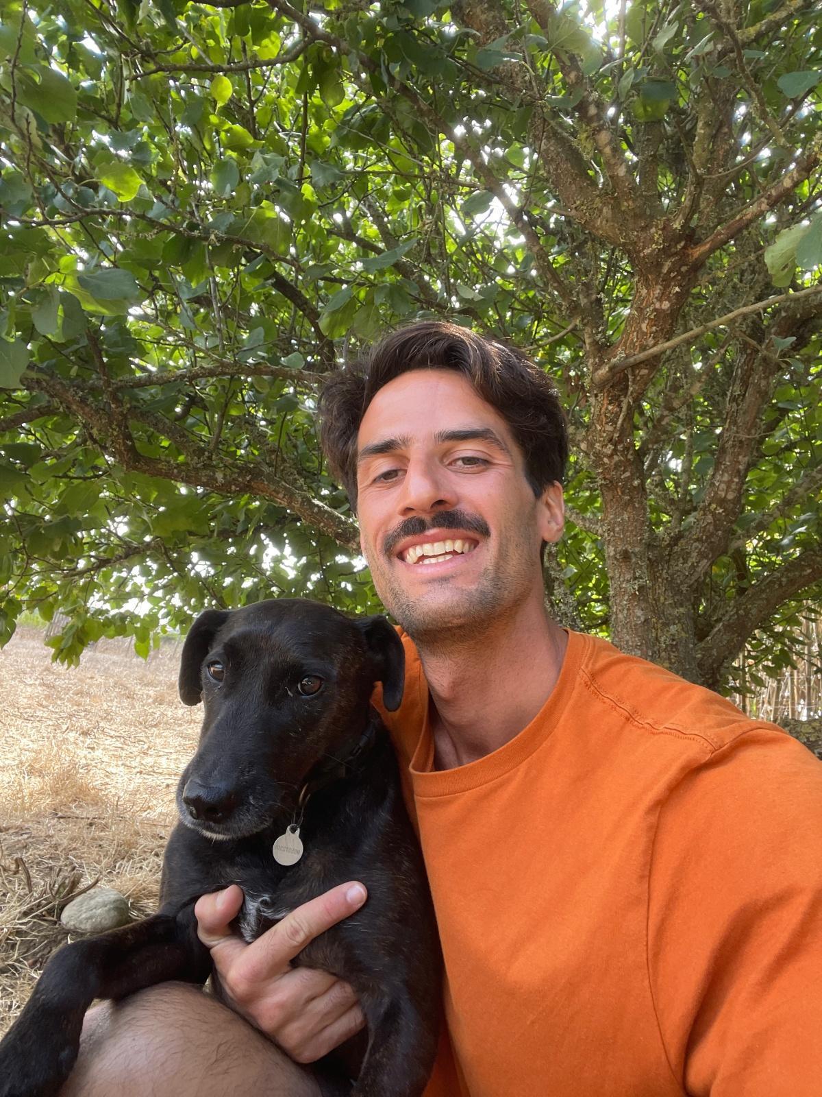 My Dog Academy My Dog Academy