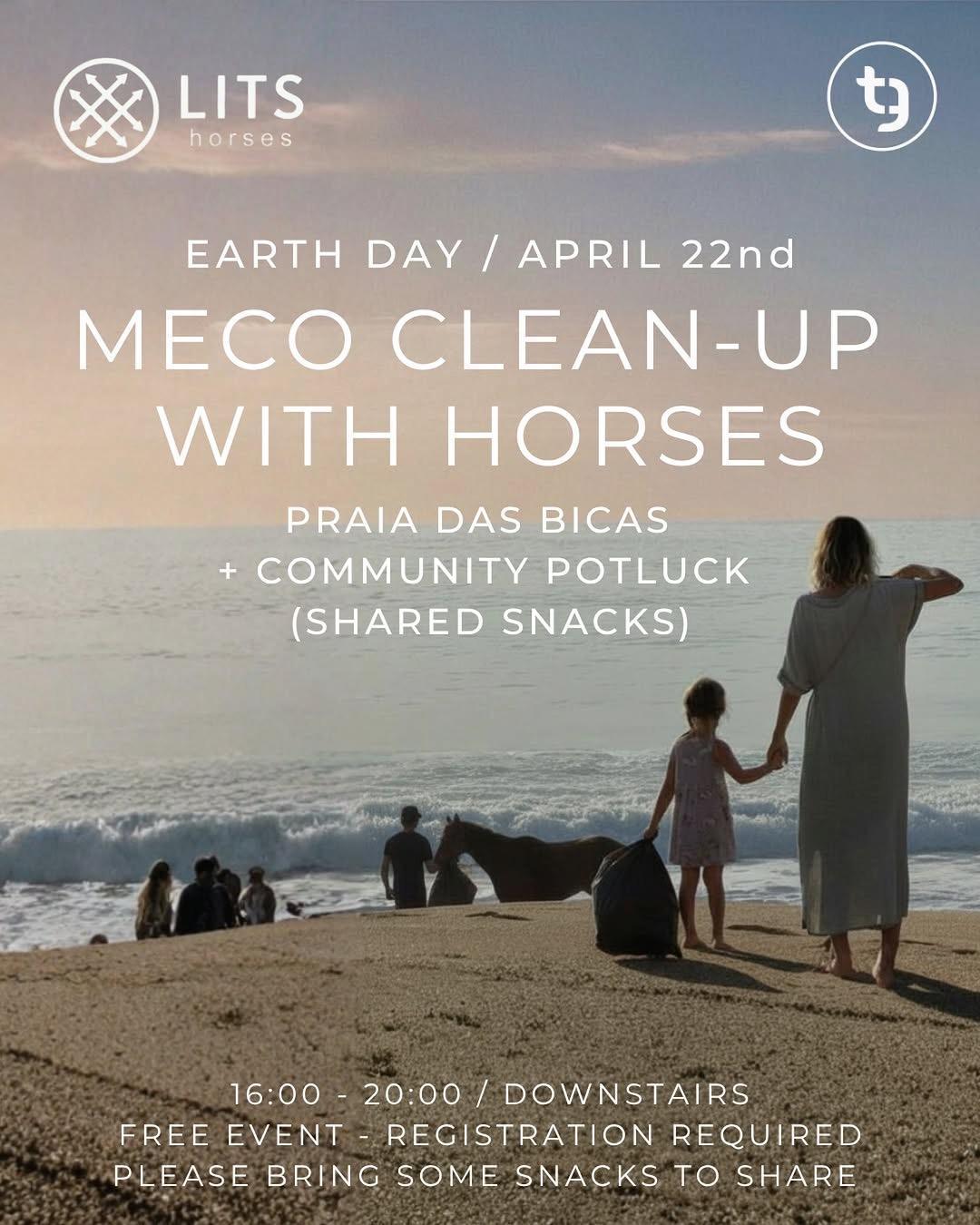 Meco Beach Clean-Up with Horses Meco Beach Clean-Up with Horses