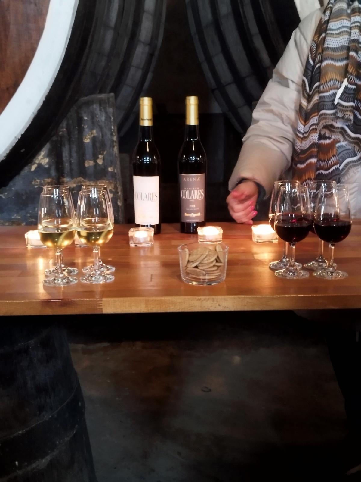 Sintra Historical Sites & wine private tour in Colares Sintra Historical Sites & wine private tour in Colares