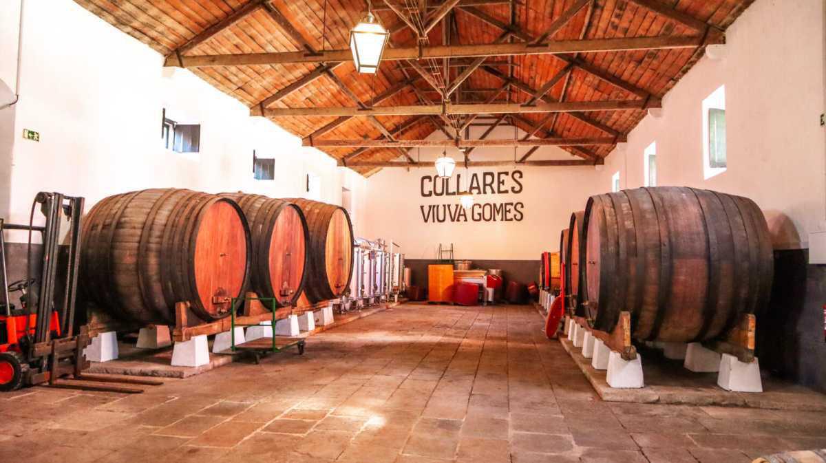 Sintra Historical Sites & wine private tour in Colares Sintra Historical Sites & wine private tour in Colares
