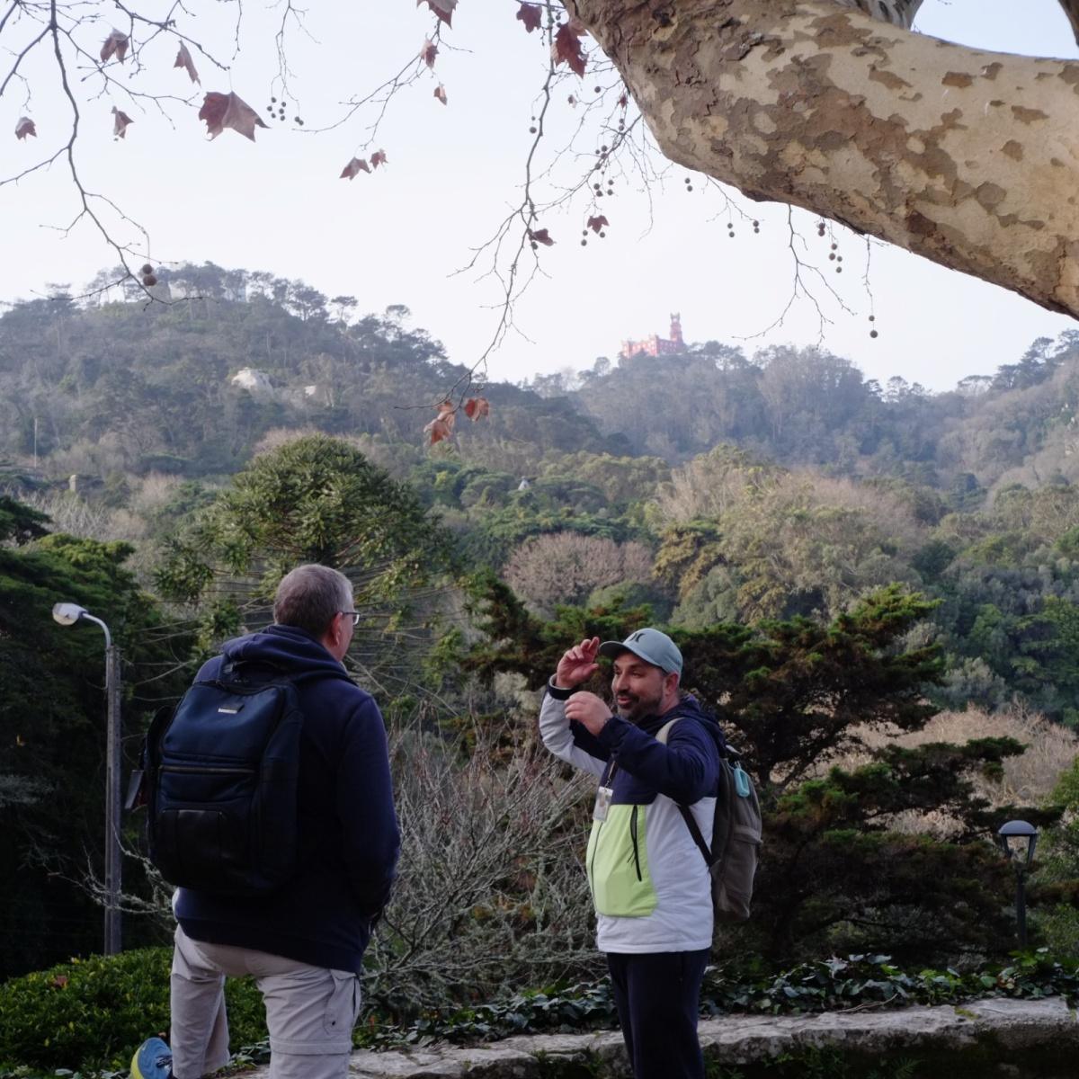 Sintra Historical Sites & wine private tour in Colares Sintra Historical Sites & wine private tour in Colares
