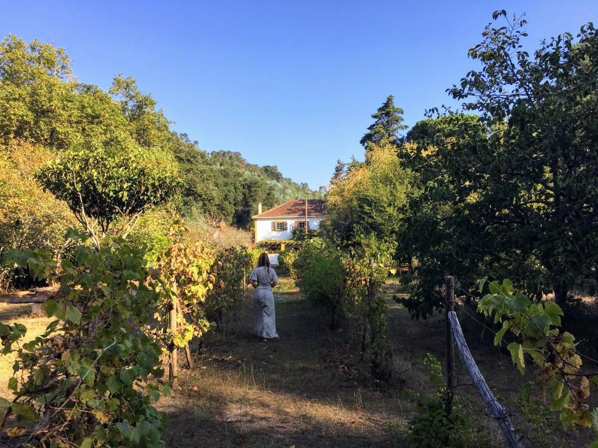 THE SHANTI SPACE AT QUINTA DOS LOBOS THE SHANTI SPACE AT QUINTA DOS LOBOS
