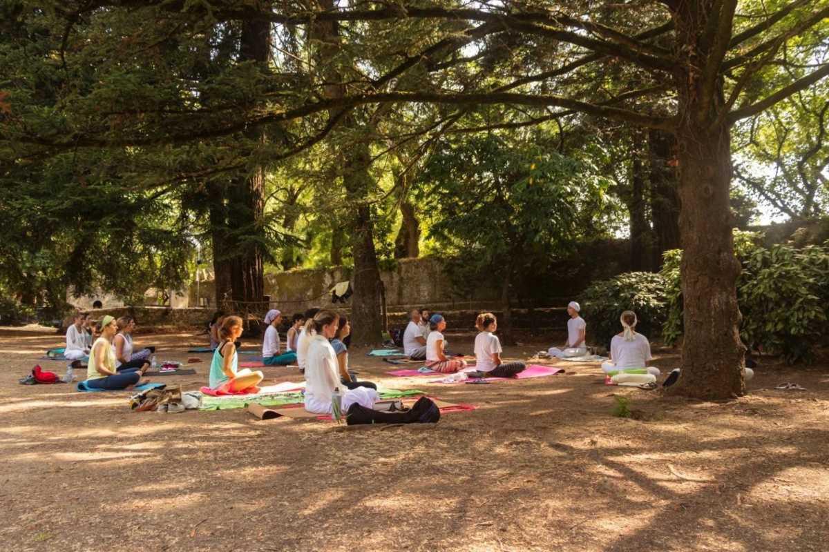 Ashram Ram Dass Guru Ashram Ram Dass Guru