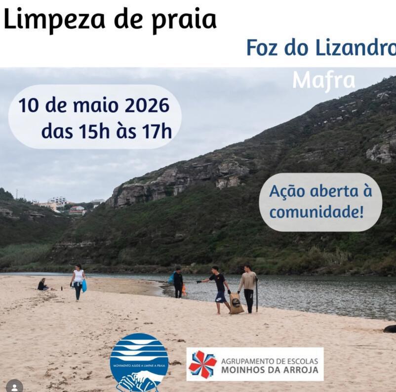 Beach cleaning 2026 