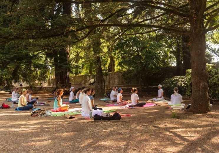 A morning for families 📍Ashram Ram Dass Guru ▶️ 45 euros