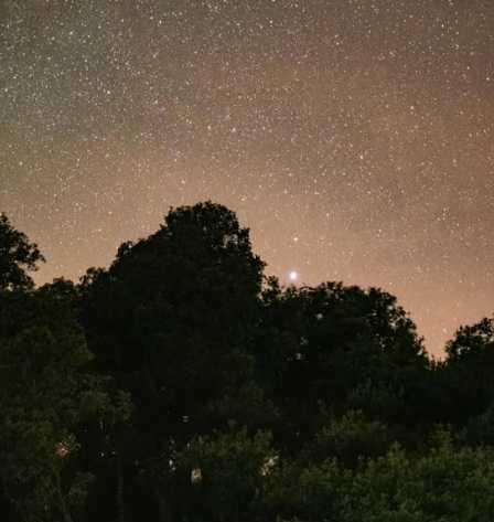 Sintra Forest Night Sensory Walk ▶️15 € Sintra Forest Night Sensory Walk ▶️15 €