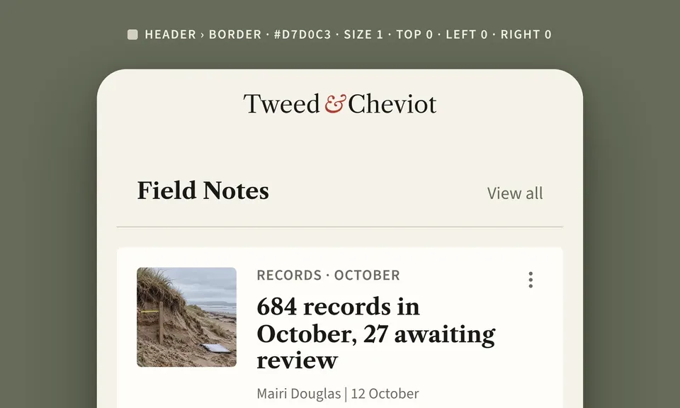 How do I set borders in my app? How do I set borders in my app?