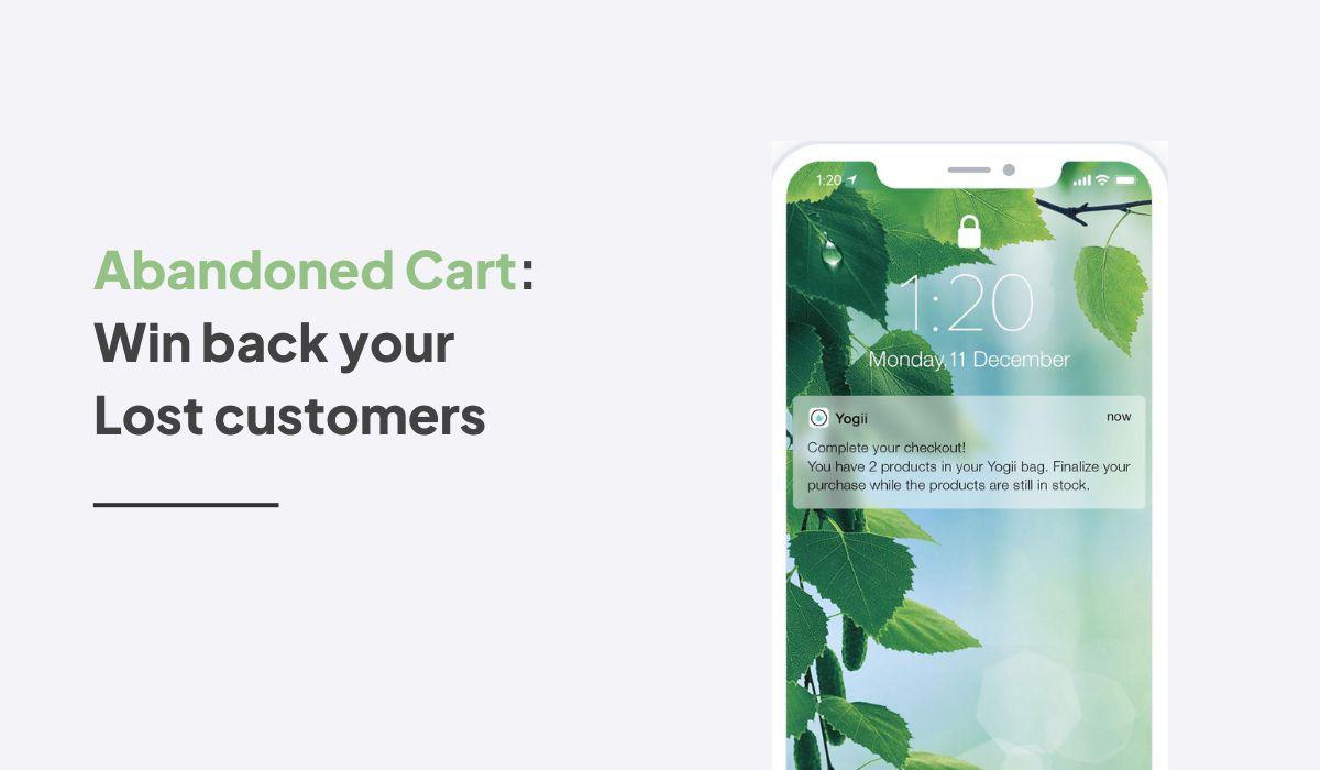 How to win back your lost Black Friday and Cyber Monday customers with  abandoned cart emails?