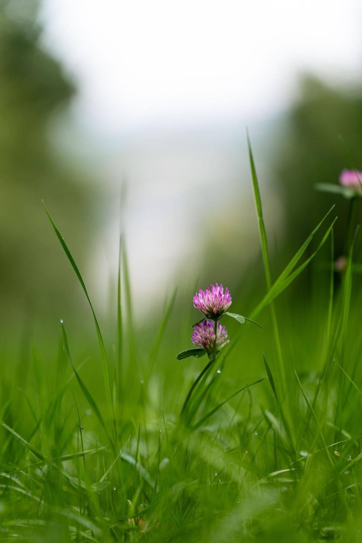 🌸 Les 5 signes de la préménopause 🌸 Les 5 signes de la préménopause