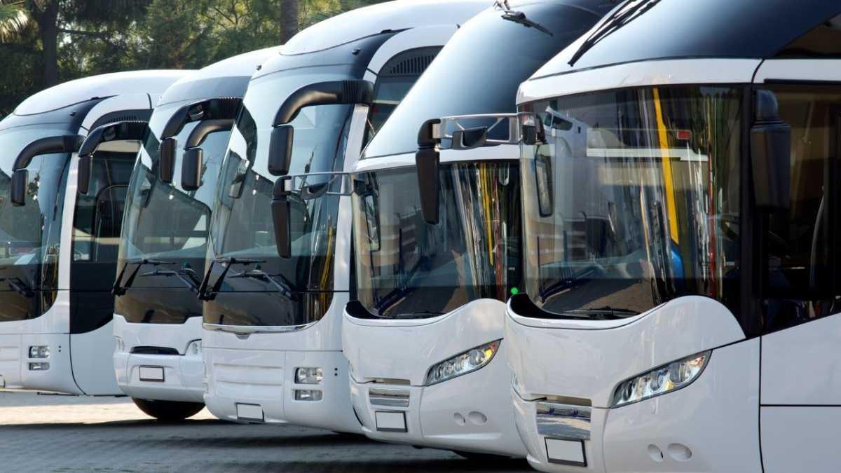 TPL – Marsala Travel Bus 