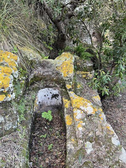 Necropoli di Zighidì (tombe bizantine) - Necropolis of Zighidì (Byzantine Tombs)