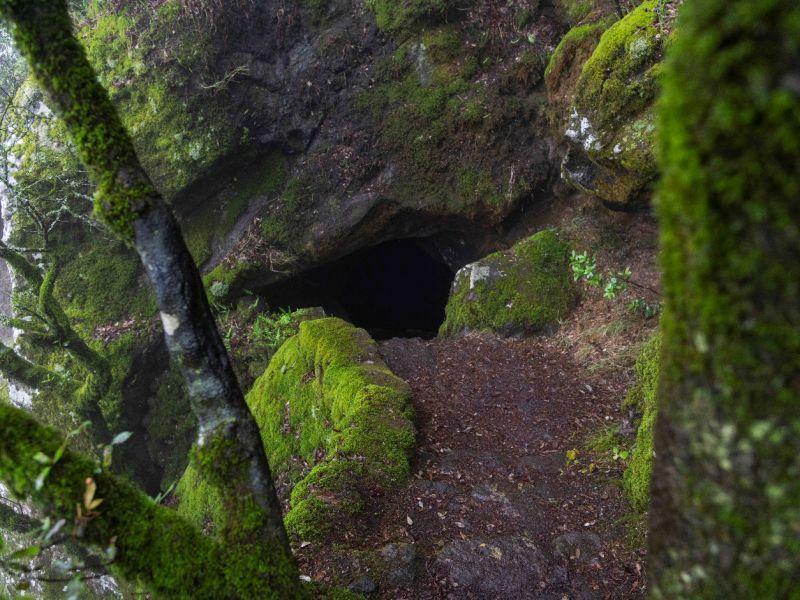 Bosco di Montagna Grande e Grotta dei Briganti
