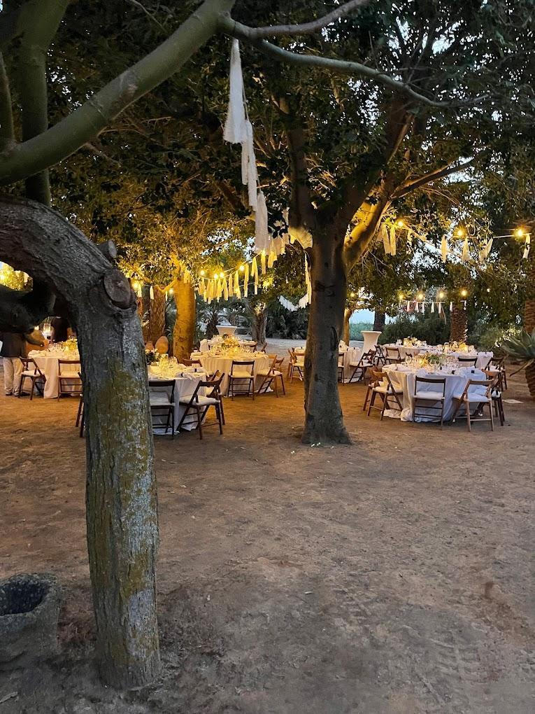 Domo Adami Events 