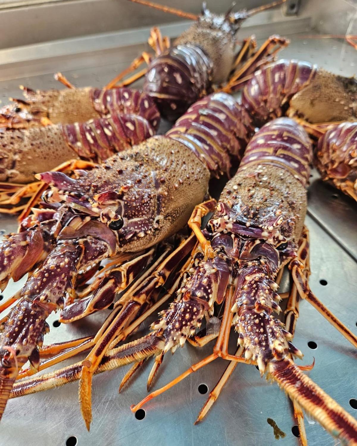 Pescheria Franco il Pescatore