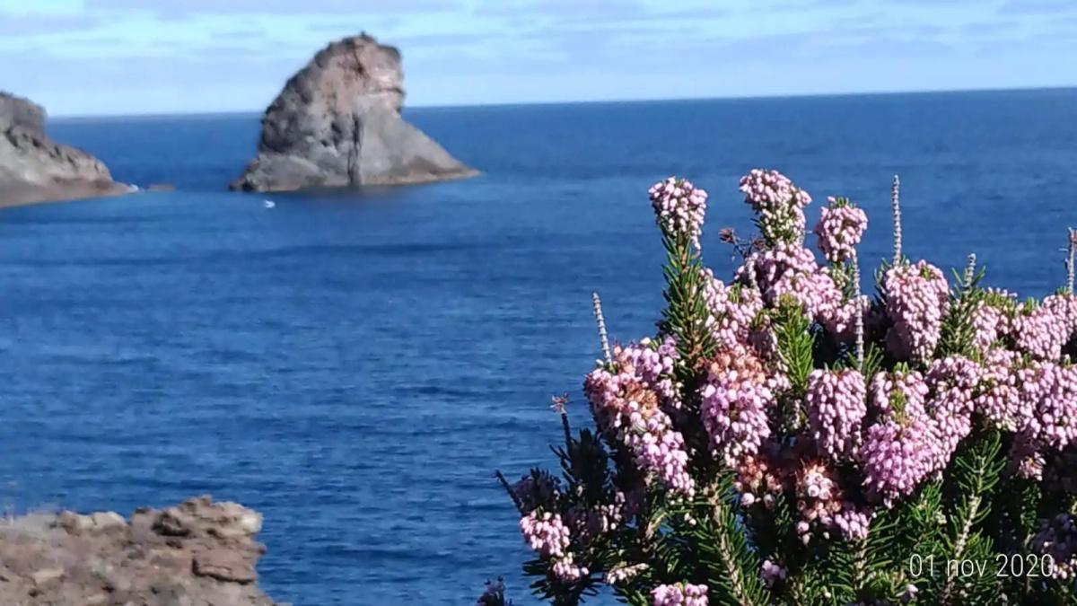I Nuovi Filopanti - Pantelleria Turismo I Nuovi Filopanti - Pantelleria Turismo