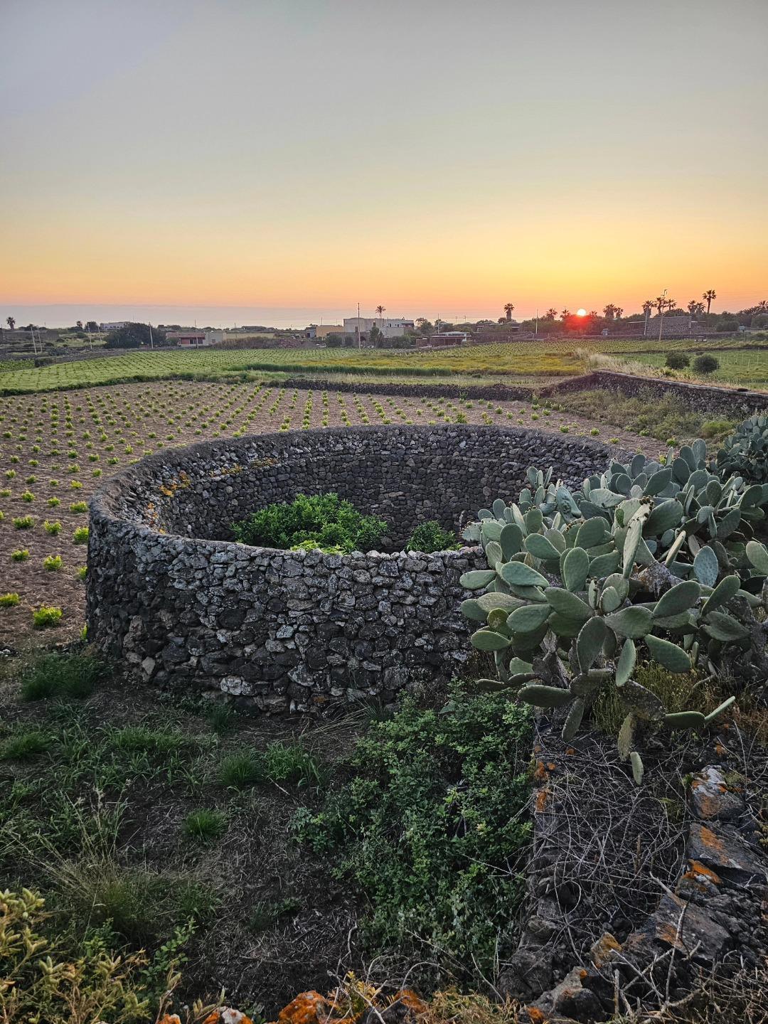Azienda Agricola Denny Almanza